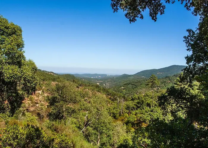 Casas Do Vale Da Rainha